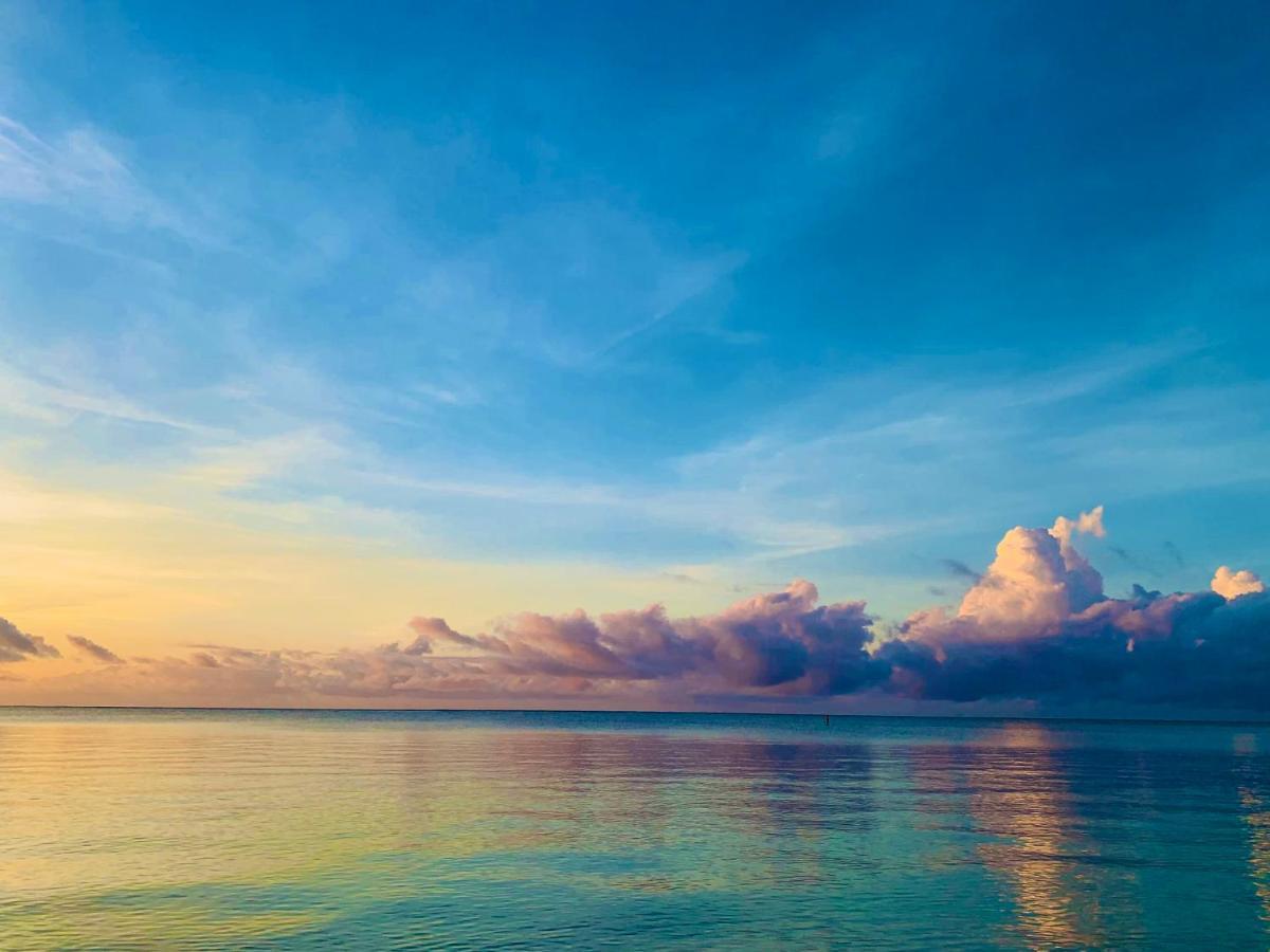 A Rocha Eco-Lodge & Conservation Centre Watamu Buitenkant foto