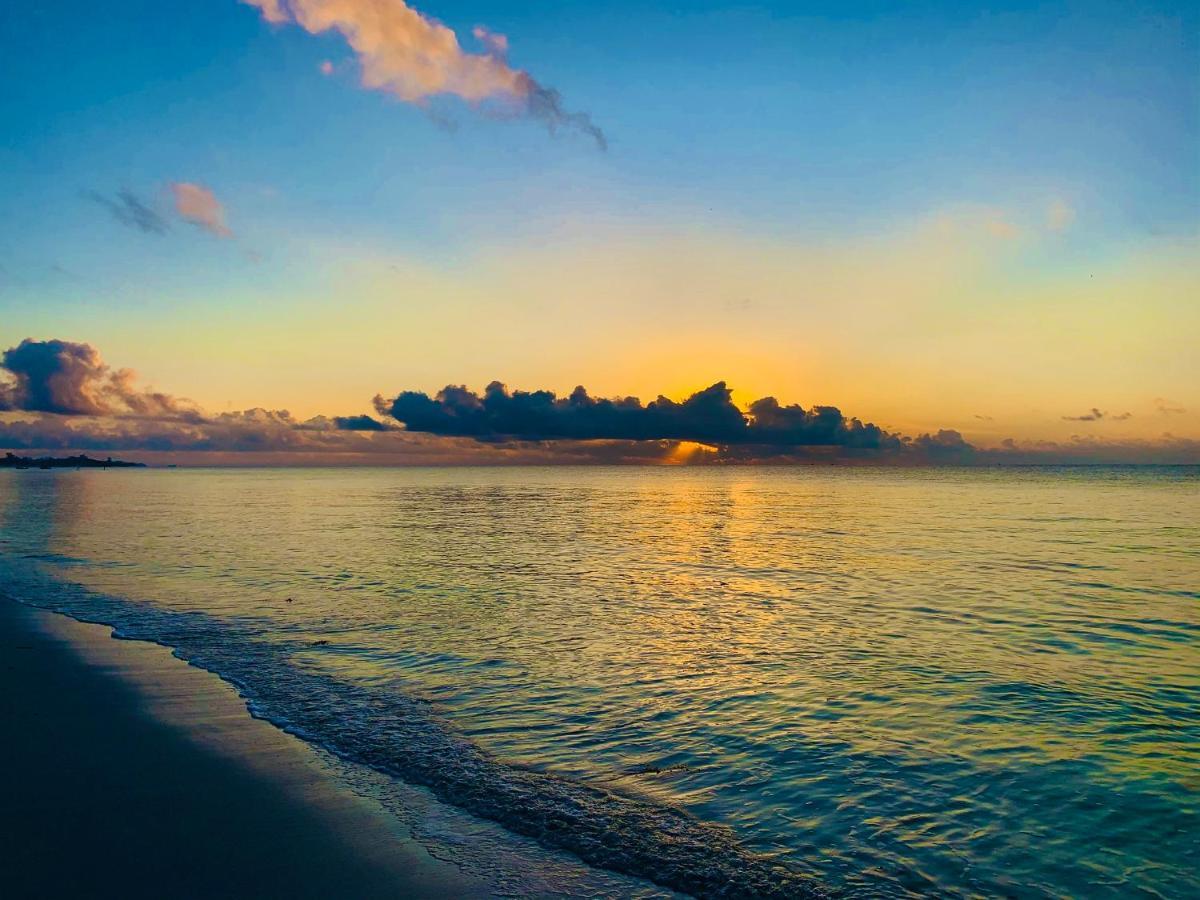 A Rocha Eco-Lodge & Conservation Centre Watamu Buitenkant foto